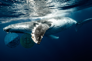 What Do Crypto Whales Do With Their Wealth?