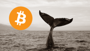 Bitcoin Whales Resume Accumulation Amidst Increasing Hodler Ratio