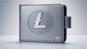 Move your Coins to Cake Wallet: a Starter Guide to self-custody